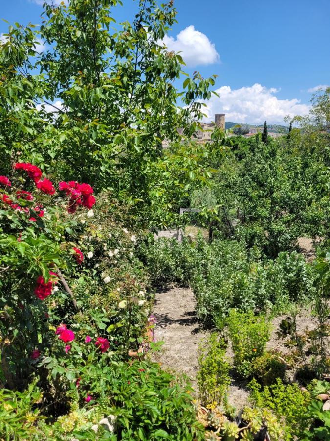 Comfort, Parcheggio E Balcone Su Tricarico In Basilicata, Io Sono Qui المظهر الخارجي الصورة