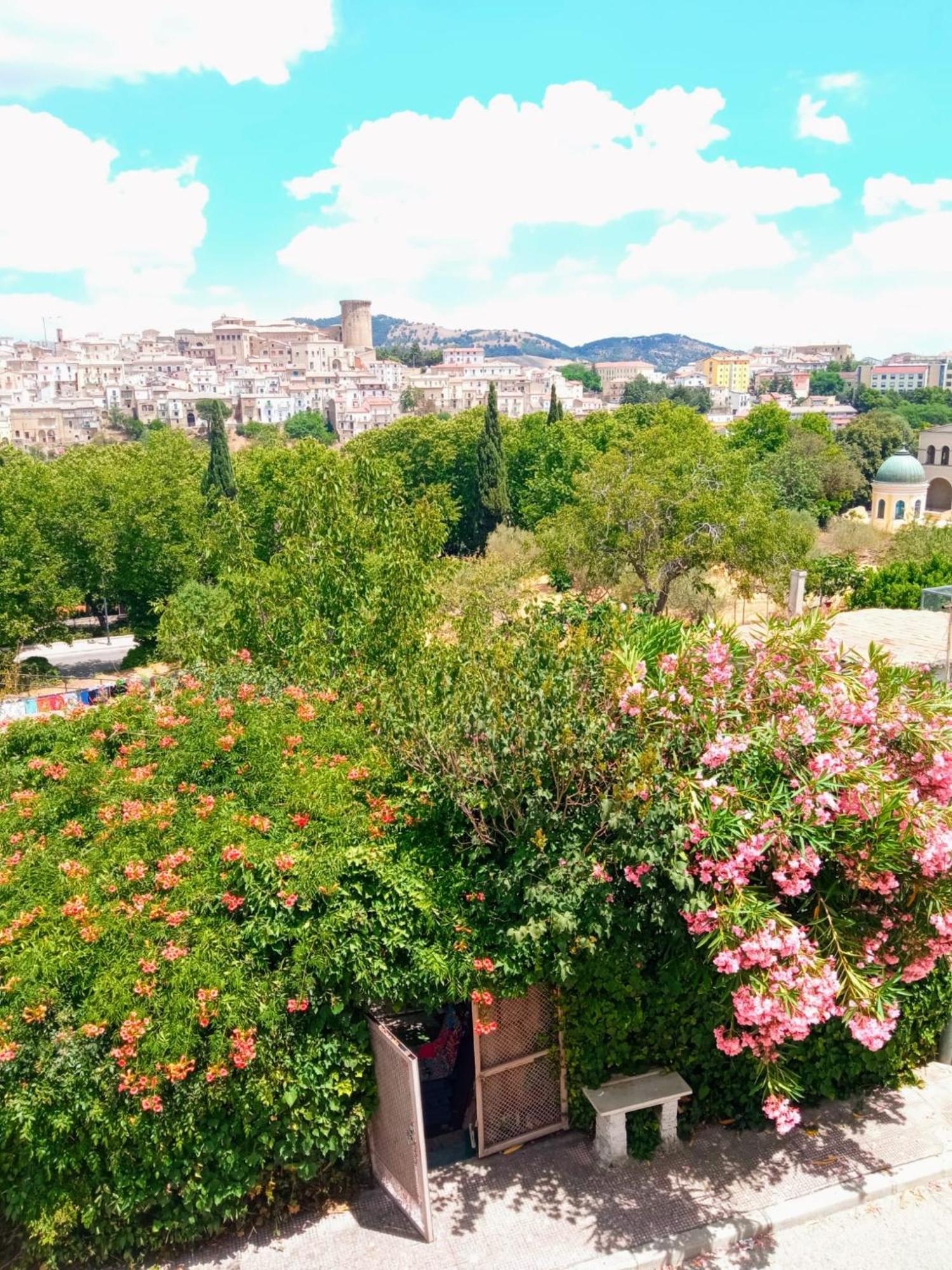 Comfort, Parcheggio E Balcone Su Tricarico In Basilicata, Io Sono Qui المظهر الخارجي الصورة